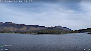 Lingholm Estate webcam sample image