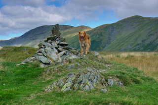 Troutbeck Tongue Summit Cairn