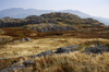 Hard Knott summit outcrop ahead