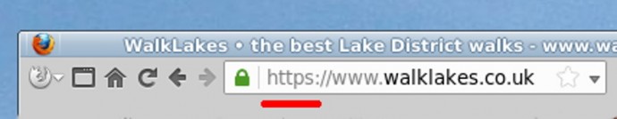 Our web site in a browser