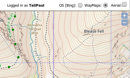 New tile section radio buttons