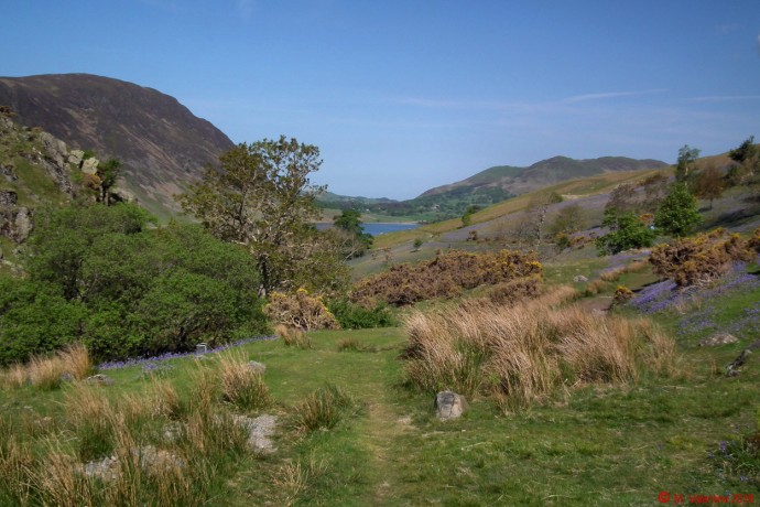 View back towards Crummock Water.