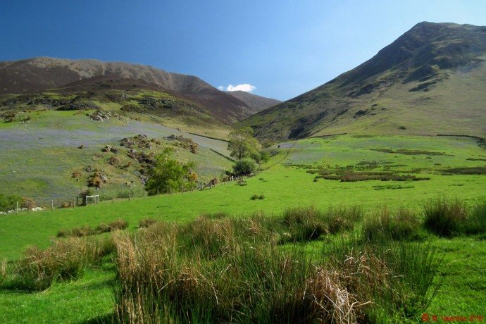 Grasmoor - Whiteless Pike.