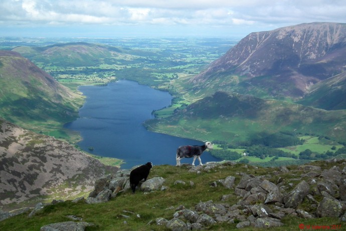 Crummock Water from Grey Crags spur.