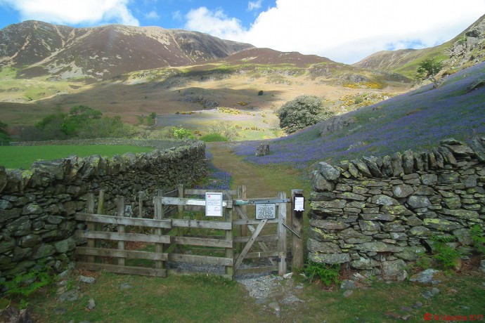Gateway to the bluebells.