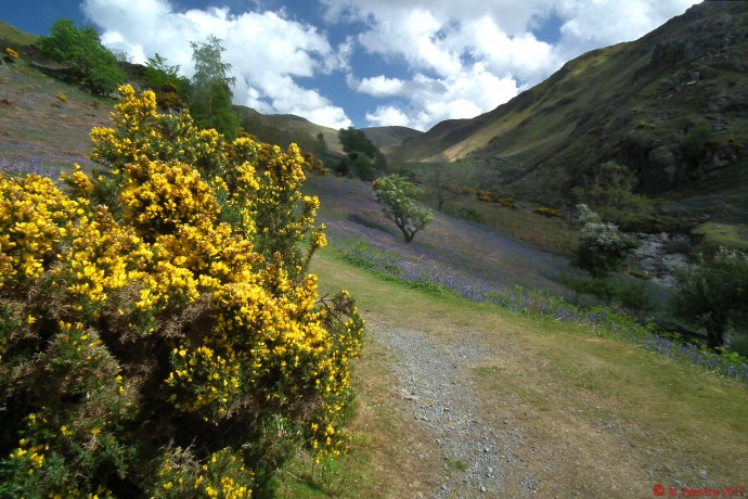 High Rannerdale.
