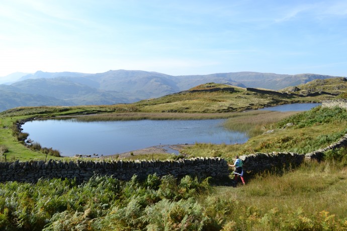 Alcock Tarn