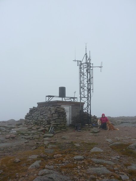 Beth and the dogs by the weather station on the summit of Cairn Gorm