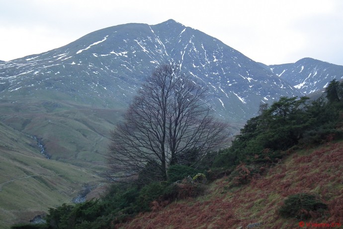 Catstye Cam.