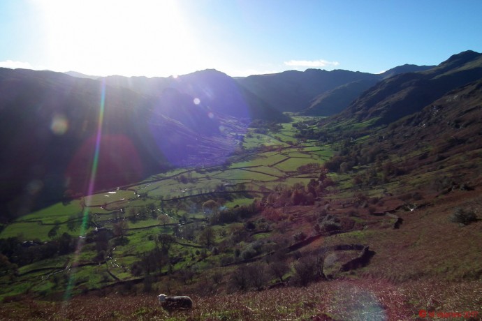 Langdale Valley from Raw Pike flanks.