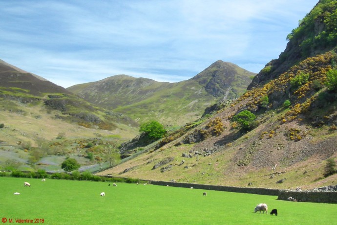 Whiteless Pike.