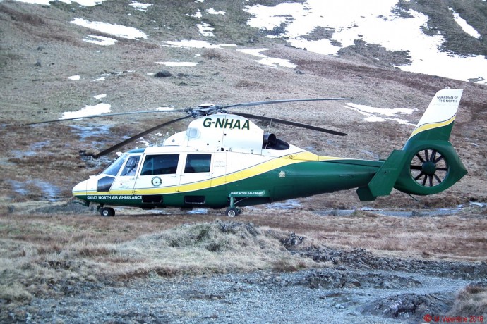 GNAA close-up.