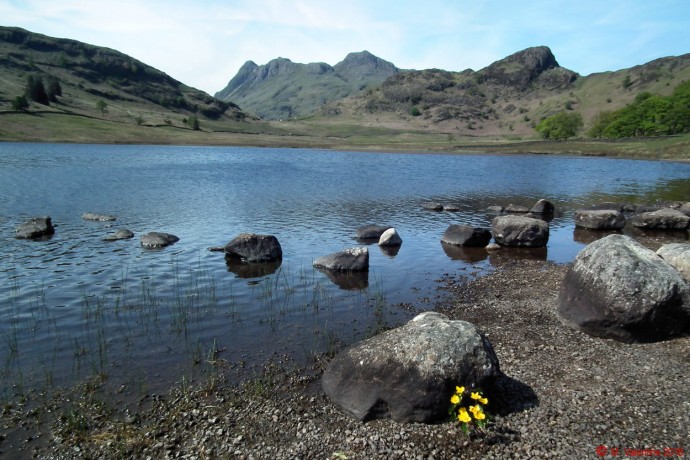 Langdale Pikes.