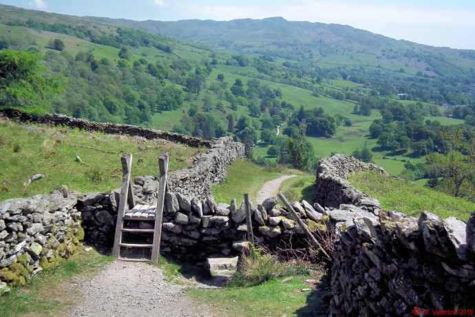 Ladder stile.