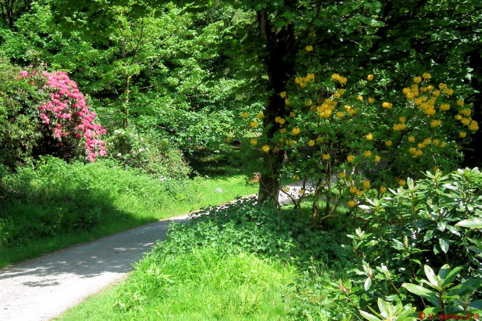 Rydal Hall grounds.