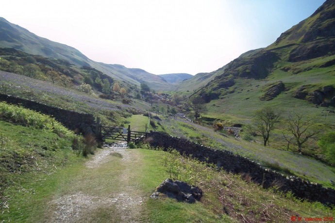 Looking up High Rannerdale.