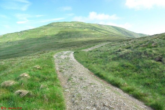 Looking up to Yoke.