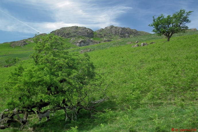 Wray Crag.