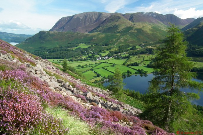 The view across Buttermere to Grasmoor etc.