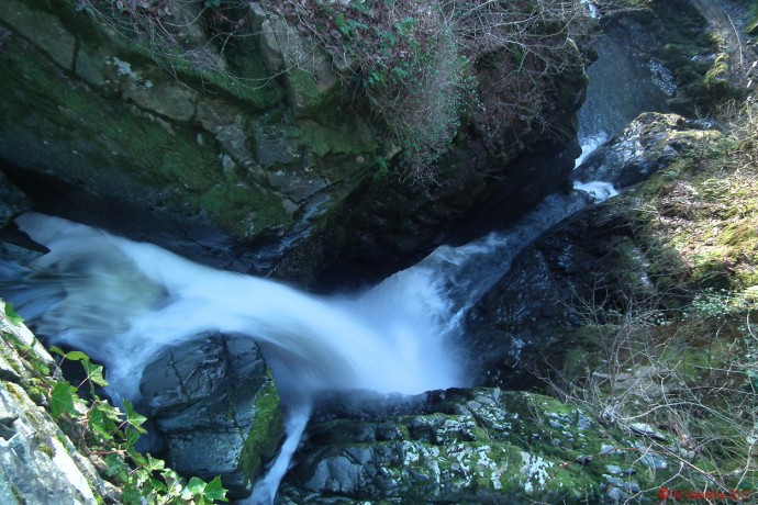 Looking down onto Aira Force from the upper bridge.
