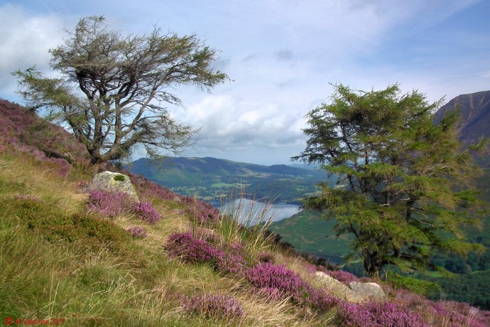 Crummock Water begins to appear.