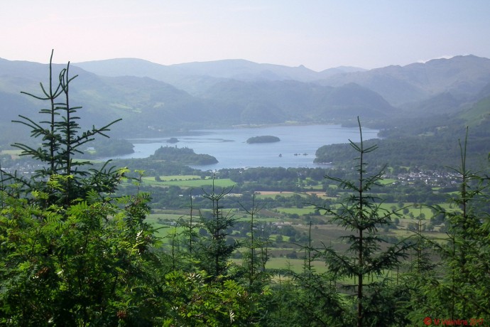 Derwentwater from Dodd Wood