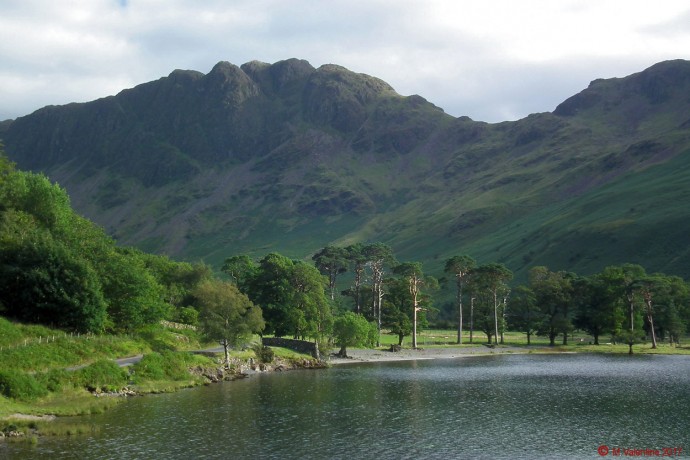 Haystacks and the Buttermere Pines.
